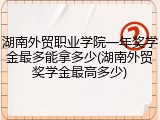 湖南外贸职业学院一年奖学金最多能拿多少(湖南外贸奖学金最高多少)