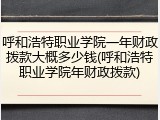 呼和浩特职业学院一年财政拨款大概多少钱(呼和浩特职业学院年财政拨款)