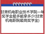 甘肃机电职业技术学院一年奖学金最多能拿多少(甘肃机电职院最高奖学金)
