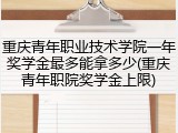 重庆青年职业技术学院一年奖学金最多能拿多少(重庆青年职院奖学金上限)