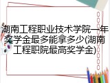 湖南工程职业技术学院一年奖学金最多能拿多少(湖南工程职院最高奖学金)