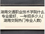 湖南交通职业技术学院什么专业最好，一年招多少人(湖南交院热门专业人数)