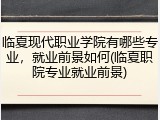 临夏现代职业学院有哪些专业，就业前景如何(临夏职院专业就业前景)