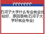 石河子大学什么专业就业比较好，原因是啥(石河子大学好就业专业)