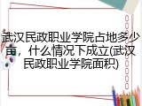 武汉民政职业学院占地多少亩，什么情况下成立(武汉民政职业学院面积)