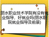 丽水职业技术学院有没有就业指导，好就业吗(丽水职院就业指导及前景)