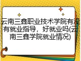 云南三鑫职业技术学院有没有就业指导，好就业吗(云南三鑫学院就业情况)