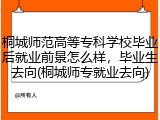 桐城师范高等专科学校毕业后就业前景怎么样，毕业生去向(桐城师专就业去向)