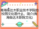 青海柴达木职业技术学院的校园文化是什么，简介(青海柴达木职院文化)