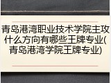 青岛港湾职业技术学院主攻什么方向有哪些王牌专业(青岛港湾学院王牌专业)