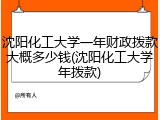 沈阳化工大学一年财政拨款大概多少钱(沈阳化工大学年拨款)