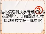 桂林信息科技学院最好的专业是哪个，详细阐述(桂林信息科技学院王牌专业)