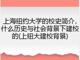 上海纽约大学的校史简介，什么历史与社会背景下建校的(上纽大建校背景)