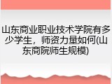山东商业职业技术学院有多少学生，师资力量如何(山东商院师生规模)