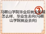 马鞍山学院毕业后就业前景怎么样，毕业生去向(马鞍山学院就业去向)