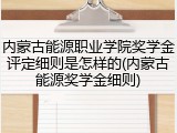内蒙古能源职业学院奖学金评定细则是怎样的(内蒙古能源奖学金细则)