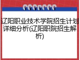 辽阳职业技术学院招生计划详细分析(辽阳职院招生解析)