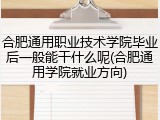 合肥通用职业技术学院毕业后一般能干什么呢(合肥通用学院就业方向)