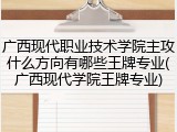 广西现代职业技术学院主攻什么方向有哪些王牌专业(广西现代学院王牌专业)