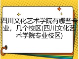 四川文化艺术学院有哪些专业，几个校区(四川文化艺术学院专业校区)