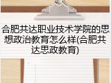 合肥共达职业技术学院的思想政治教育怎么样(合肥共达思政教育)