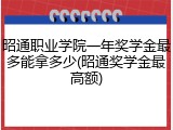 昭通职业学院一年奖学金最多能拿多少(昭通奖学金最高额)