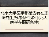 北京大学医学部是否有在职研究生,报考条件如何(北大医学在职研条件)