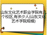 山东文化艺术职业学院有几个校区,有多少人(山东文化艺术学院规模)