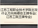 江苏工程职业技术学院主攻什么方向有哪些王牌专业(江苏工院王牌专业)