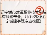 辽宁城市建设职业技术学院有哪些专业，几个校区(辽宁城建学院专业校区)