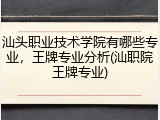 汕头职业技术学院有哪些专业，王牌专业分析(汕职院王牌专业)