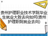 贵州护理职业技术学院毕业生就业大致去向如何(贵州护理职院就业去向)