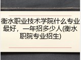 衡水职业技术学院什么专业最好，一年招多少人(衡水职院专业招生)