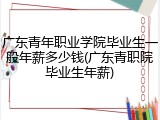 广东青年职业学院毕业生一般年薪多少钱(广东青职院毕业生年薪)
