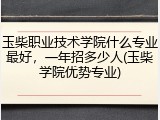 玉柴职业技术学院什么专业最好，一年招多少人(玉柴学院优势专业)