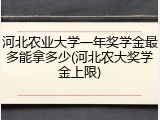 河北农业大学一年奖学金最多能拿多少(河北农大奖学金上限)