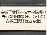 安徽工业职业技术学院哪些专业就业前景好，为什么(安徽工院好就业专业)