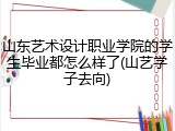 山东艺术设计职业学院的学生毕业都怎么样了(山艺学子去向)