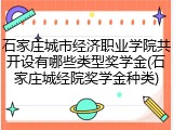 石家庄城市经济职业学院共开设有哪些类型奖学金(石家庄城经院奖学金种类)
