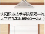 沈阳职业技术学院是双一流大学吗?(沈阳职院双一流？)