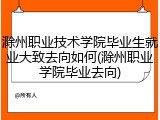滁州职业技术学院毕业生就业大致去向如何(滁州职业学院毕业去向)
