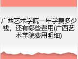 广西艺术学院一年学费多少钱，还有哪些费用(广西艺术学院费用明细)