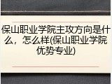 保山职业学院主攻方向是什么，怎么样(保山职业学院优势专业)