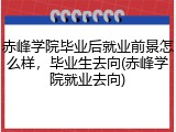 赤峰学院毕业后就业前景怎么样，毕业生去向(赤峰学院就业去向)