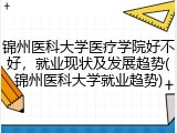 锦州医科大学医疗学院好不好，就业现状及发展趋势(锦州医科大学就业趋势)