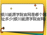 银川能源学院官网是哪个网址多少(银川能源学院官网)