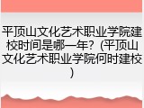 平顶山文化艺术职业学院建校时间是哪一年？(平顶山文化艺术职业学院何时建校)