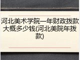 河北美术学院一年财政拨款大概多少钱(河北美院年拨款)