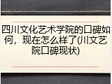 四川文化艺术学院的口碑如何，现在怎么样了(川文艺院口碑现状)