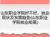 山东职业学院好不好，就业现状及发展趋势(山东职业学院就业前景)